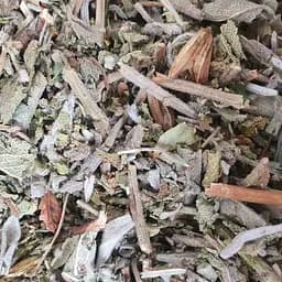 100 г шалфей лекарственный трава сушеная - свежий урожай