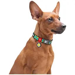 Нашийник для собак Waudog нейлоновий з QR-паспортом Смайли на блакитному XL - мініатюра 5