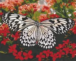 Картина по номерам. Art Craft "Красавица в цветах" 40х50 см 13119-AC