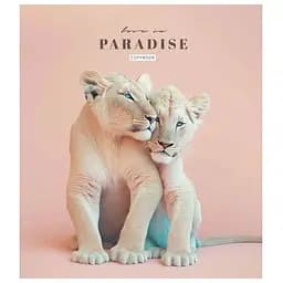 Зошит учнівський "Love in paradise" Школярик 048-3256K 48 аркушів (482000647135403256)(SC)