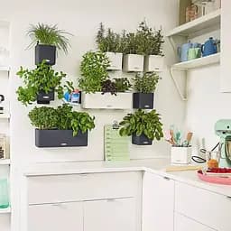 Комплект вазонів з кріпленням Lechuza Green Wall Home Kit Color 48х6х14 см сірий (13399) - мініатюра 6