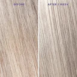 Відновлююча олія для волосся Moroccanoil Treatment Purple Фіолетові пігменти 25 мл - мініатюра 4