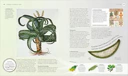 The Herb Book - мініатюра 3