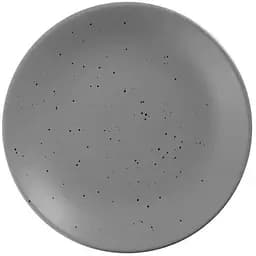 Тарілка обідня Limited Edition Sandy Grey 26.5 см (ZH-7016-1)