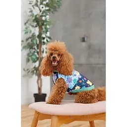 Жилет Pet Fashion Grass для собак розмір XS2 - мініатюра 4