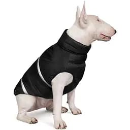 Жилет для собак Pet Fashion Big Boss 4XL чорний - мініатюра 3