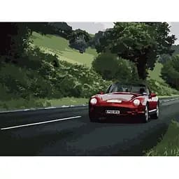 Картина по номерам Наслаждайся скоростью 40х50 см 10520-AC