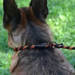 Повідець-зашморг для собак Barksi Active (довжина 183 см діаметр 7 мм) чорно-помаранчевий - мініатюра 6