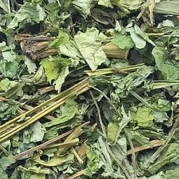 100 г чистотел трава сушеная - свежий урожай