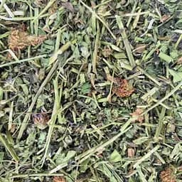 100 г конюшина трава сушена - свіжий урожай