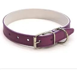 Нашийник для собак Zoo-hunt ОД Фарби шкіряний подвійний фіолетовий 2,5/36-46 см