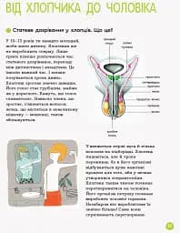 Енциклопедія статевого життя. 10-13 років - мініатюра 7