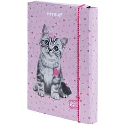 Папка для зошитів Kite Studio Pets В5 на гумці (SP25-210) - мініатюра 2