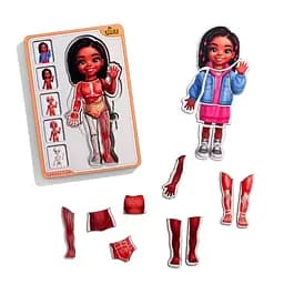 Деревянный пазл-вкладыш Анатомия человека - девочка-3 (ПСД264) PSD264 строение тела