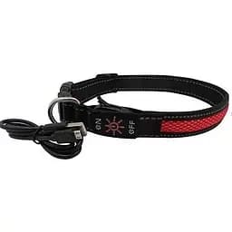 Нашийник для собак AnimAll LED M 2,5/40-50 см, червоний