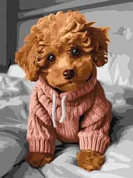 Набор для росписи по номерам Волшебный мальтипу, 30x40 см, КНО6589