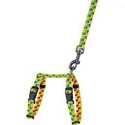 Шлея для котів та собак дрібних порід BronzeDog Urban Art Поп Арт з повідцем XS 18-27 см