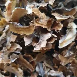 100 г перегородки волоських горіхів сушені