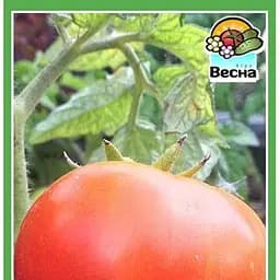 Насіння Весна Томат Лонг Кіпер 0.2 г (10449)