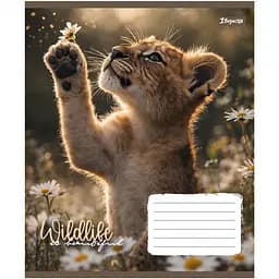 Набір зошитів 1 Вересня Wildlife is beautiful А5 18 аркушів у лінію 25 шт. (769145) - мініатюра 3