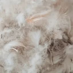 Подушка пухова MirSon Raffaello 101 середня 40x60 см (2200000017963) - мініатюра 14