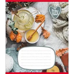 Тетрадь ученическая Домашний уют 018-540253L-2 в линию, 18 листов