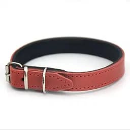 Ошейник для собак Zoo-hunt кожаный с неопреном О деликат красный 2,5/36-46 см