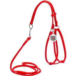Шлея с поводком для собак Waudog Glamour, кожаная, круглая, с QR паспортом, 42-60х46-64х0,6/105 см, красный (34023)