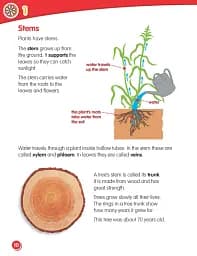 Macmillan Science. Level 3. Student's Book & eBook - мініатюра 4