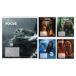Тетради ученические 36 листов линия 1B Beasts in Focus, 15 шт. в упаковке