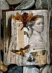 Peter Beard - мініатюра 4