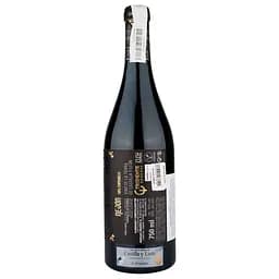 Вино Bodegas Tridente Rejon, червоне, сухе, 0,75 л (W8566) - мініатюра 2