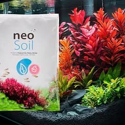 Грунт активний для акваріуму Neo Soil Plant No CO2 3 л - без потреби у CO₂ - мініатюра 3