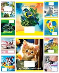 Тетради ученические 12 листов клетка ТЕ41104, 25 шт. в упаковке