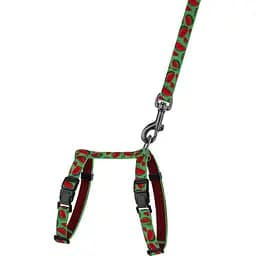 Шлея для котів та собак дрібних порід BronzeDog Urban Fruits Кавун з повідцем XS 18-27 см