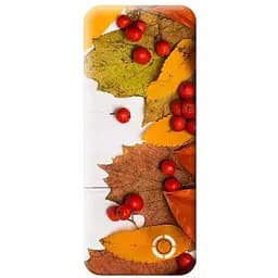 Портативний акумулятор POWERPack Colors of Nature 10000 mAh