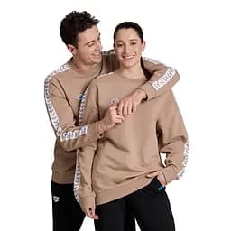 Кофта Arena Sweat Team Oversize Caramel XL (1097-002304-210 XL) - мініатюра 3