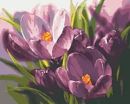 Комплект картин за номерами Riviera Blanca Крокуси (ITR-073) 3 шт в наборі