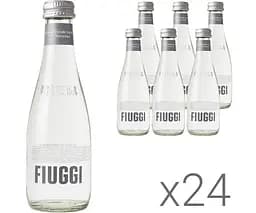 Fiuggi, Упаковка 24 шт. х 0,25 л, Вода олігомінеральна негазована Ф'юджі, скло