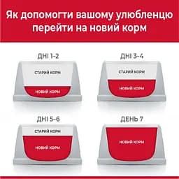 Сухий корм Hill’s SP Adult Medium Breed для дорослих собак середніх порід з ягням і рисом 14 кг - мініатюра 5