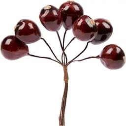 Ягоди декоративні Yes! Fun глянцеві 20 мм 7 шт./пучок коричневі (974154)