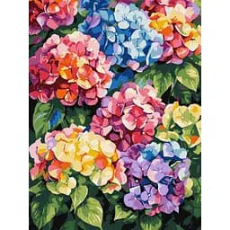 Картина по номерам "Різнокольорові гортензії" ©art_selena_ua KHO3299, 30х40 см