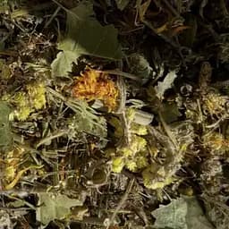 Збір трав'яний для відновлення функцій печінки, підшлункової залози та шлунка, 100 г