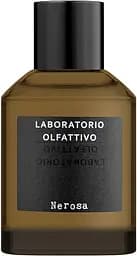 Парфюмированная вода Laboratorio Olfattivo Nerosa 100 мл 