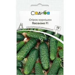 Семена огурца Садиба Центр Пасалимо F1 10 шт.