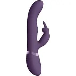 Вибратор-кролик Vive May G-Spot 22 см (фиолетовый)