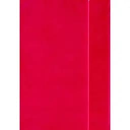 Ежедневник-мотиватор Kiri sketch без даты красный