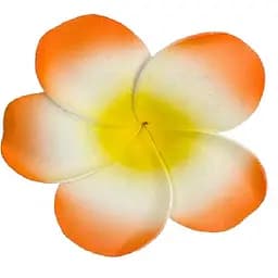 Заколка Гавайи