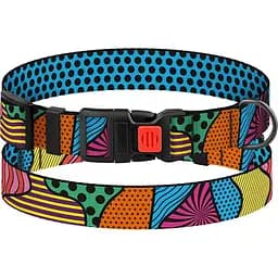 Нашийник для собак BronzeDog Urban Art L