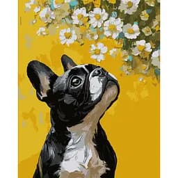 Картина за номерами Santi Бульдог і квіти 40х50 см (955746)